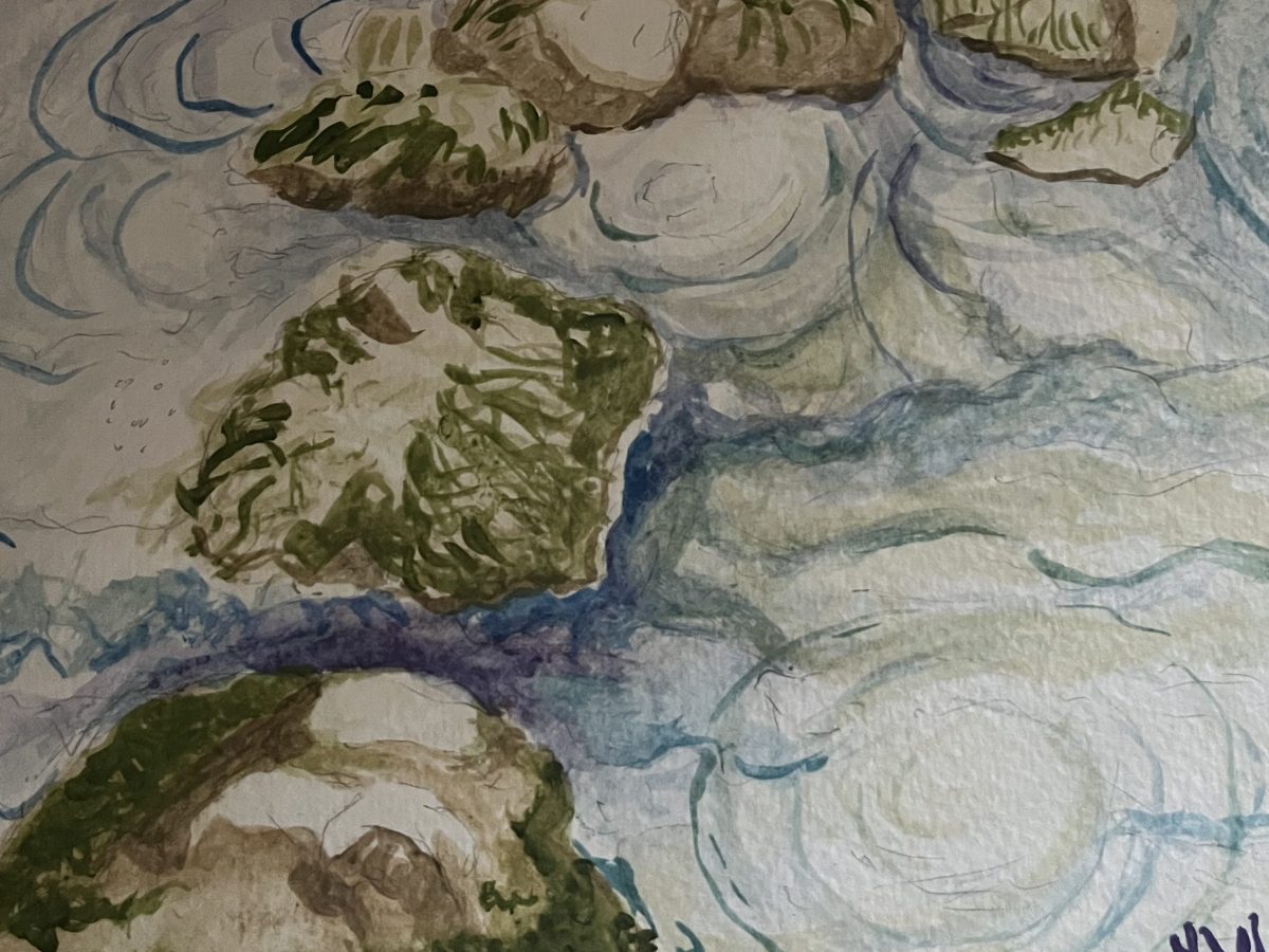 Wolves in Sheep’s&nbsp;Clothing